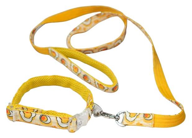 Pet Leash 4